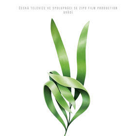 Cyklus krátkých dokumentů zachycuje prostřednictvím 30 fotografií zlomové či významné okamžiky naší doby od 17. listopadu 1989 do konce roku 2018.