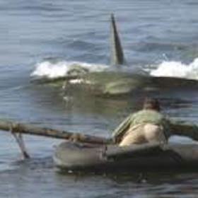 Když se u pláží rekreačního městečka začnou ztrácet lidé a moře vyplaví tělo kosatky s obřími kousanci, je si policejní náčelník jistý, že se opět objevil bílý lidožravý žralok. I přes jeho naléhání však vedení města odmítá uzavřít pláže a vyhlásit pohotovost.