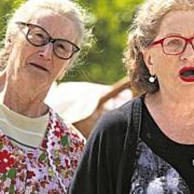 Zápletka se točí okolo pomsty starosty Stehlíka a místních chasníků Horáčkové... do vesnice se vrací kontrolor Dodo. 