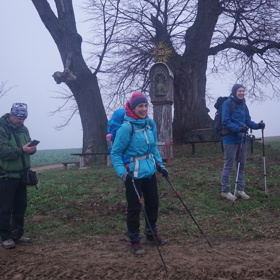 Režisérka Eva Toulová natáčí polohraný dokumentární film o moderním poutnictví s názvem Pěšky bez hranic. V hlavní roli diváci uvidí Terezu Petráškovou, se kterou zmiňovaná režisérka aktuálně dotočila hraný film Casting na lásku. 