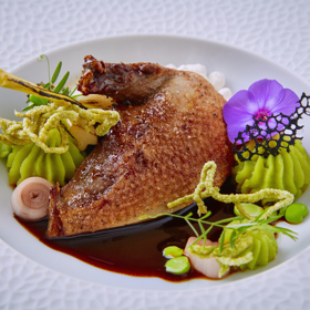 Ochutnejte fermentovaného holuba