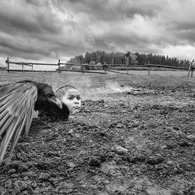 Nabarvené ptáče je český film režiséra Václava Marhoula z roku 2019 podle stejnojmenného románu polského spisovatele Jerzyho Kosińského z roku 1965.