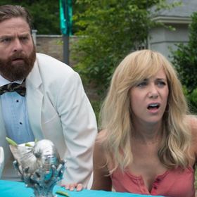 David (Zach Galifianakis) je nekomplikovaný muž, který uvízl v monotónním životě.