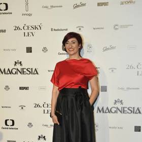 Osobitá herečka a žákyně improvizátora Jaroslava Duška Simona Babčáková se narodila v Šumperku 21. února 1973.