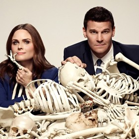 Seriál Sběratelé kostí (vysílá Prima Krimi) se zabývá vyšetřováním zločinů, při nichž nelze oběť identifikovat jinak než podle kostí a zbylé tkáně. Ohledání ostatků má na starosti dr. Temprance Brennanová (přezdívaná Kůstka), pomáhá jí agent FBI Seeley Booth. Herečka Emily Deschanelová (Kůstka) natáčela dvě řady seriálu během těhotenství, čehož tvůrci ihned využili.