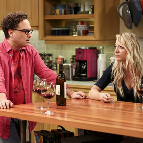 Když už je vše hotovo, musí se nejprve nastěhovat veškerá domácí zvířena. Manžel počká.