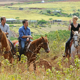 Po premiéře seriálu Hawaii 5-0 skončil Alex O’Loughlin na druhém místě v žebříčku nejvíce sexy mužů, který pořádá Buddy TV.