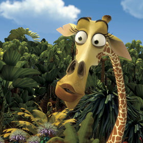 Žirafa, která se bojí výšek? I to je možné.