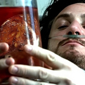 Cristina Pecková (Naomi Watts), která od doby svého neklidného mládí již dozrála, je milovanou starší sestrou Claudie (Clea DuVall), hodnou manželkou Michaela (Danny Huston) a milující matkou dvou malých dcer.