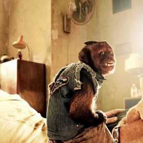 Opice, která ve filmu sehraje nemalou roli, je malpa hnědá, v latině Cebus apella. Ve skutečnosti se jmenuje Crystal a Hollywood jí není vůbec cizí. Mohli jsme ji vidět třeba ve filmech Noc v muzeu (2006) nebo Ošetřovatel (2011).