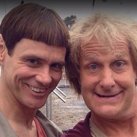 Dva spolubydlící hlupáci, kteří si šetří na vysněný obchod s červy, přišli díky smůle a vlastní nešikovnosti o zaměstnání a nyní se vydávají napříč Amerikou, aby odevzdali původní majitelce její ztracený kufřík plný peněz.