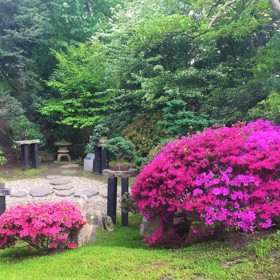 Japonský koutek se v pražské botanické zahradě v Troji začal budovat už v roce 1995. Pro veřejnost byl otevřen o dva roky později.