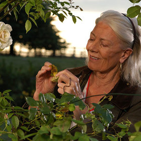 Tento román z roku 1987 se může pochlubit až deseti miliony prodaných výtisků.