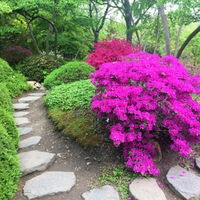 Ve druhé, sbírkové části, jsou shromažďovány rostliny pocházející z Číny a Japonska.