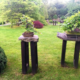 Své stromy tu mají i významné osobnosti, například Václav Havel či Madeleine Albrightová.