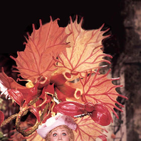 Parodie Adéla ještě nevečeřela se původně měla jmenovat Už mne mají!
