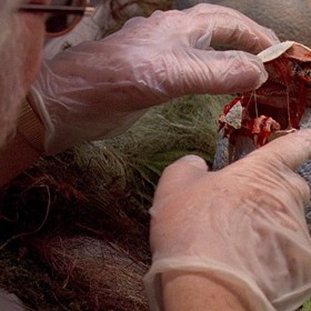 Steven Spielberg si k natáčení pozval jednoho z nejznámějších paleontologů té doby - Jacka Homera.