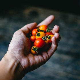 
Leváctví bylo v minulost násilím přeučováno.