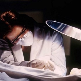 Celé natáčení probíhalo pod přísným utajením.
