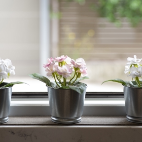 Než začnete okna umývat, udělejte si pořádek: sundejte záclony a osprchujte květiny. 