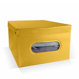 Skládací box s průhledem, 229 Kč