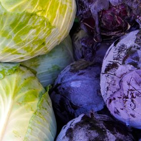 Zelí je cenný zdroj vlákniny, vápníku, hořčíku a draslíku, ale obsahuje také nejrůznější vitamíny. Sto gramů zelí má jenom 25 kalorií a jednoznačně představuje jeden z nejzdravějších druhů sezónní zeleniny. Do jídelníčku bychom ho měli zařazovat alespoň jednou týdně.  