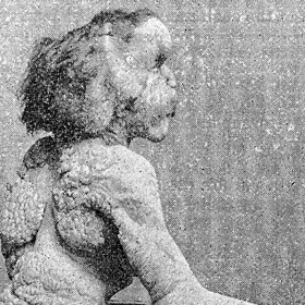 Trvalejší plat našel až v panoptiku.
