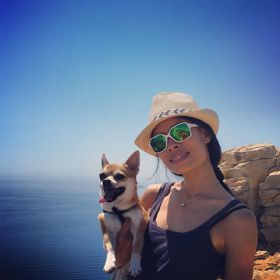 Vanessa Mae je světoznámou houslistkou. Svůj talent začala rozvíjet již v pěti letech.
