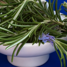 Rozmarýna pečuje o mastné vlasy. 