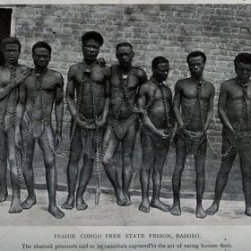 ...původně měli na plantážích v Kongu pracovat belgičtí dělníci, nakonec v řetězech skončili domorodci.

