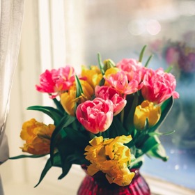 Než do vázy nalijete vodu, vydezinfikujte ji – k tomu ideálně použijte přípravek s obsahem chlóru. 