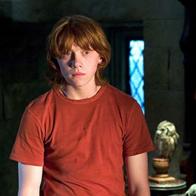 Na konci titulků se můžeme dozvědět úsměvný fakt, že nebyl zraněn žádný drak. 
