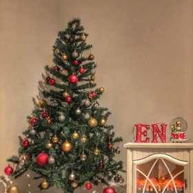 Velký dominantní strom si pořizují početné rodiny. 