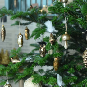 
Kolekce zázraky přírody, která je inspirována zvířátky a rostlinnými motivy.