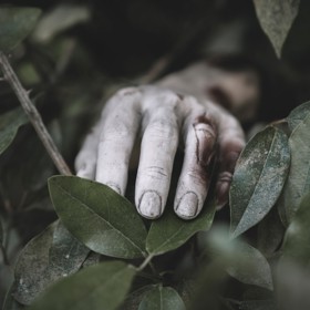 Ed Gein (27. 8.) útočil na ženy. Z jejich kůže a kostí vyráběl různé předměty.