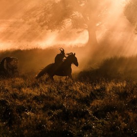 Film byl uveden na 55. výročí klasické animované disneyovky Šípkové Růženky.
