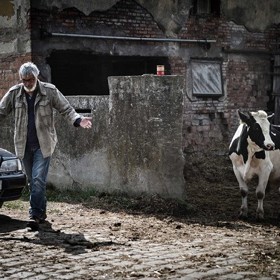Hlavním hrdinou filmu Teorie tygra je veterinář Jan (Jiří Bartoška), který má už dost komandování... A tak opouští svou manželku Olgu (Eliška Balzerová).
