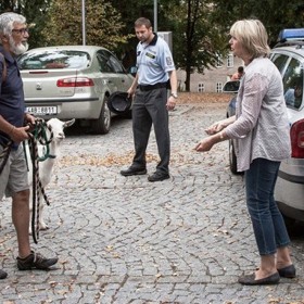 Eliška Balzerová si v komedii Teorie tygra střihla Olgu, která hlavního hrdinu "vyžene" na cestu. Olga se domnívá, že za štěstím každého muže stojí jeho žena. Proto tomu svému organizuje úplně všechno.