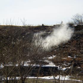 Zůstali zde jen ti nejotrlejší. Prý jsou ale hodně divní.