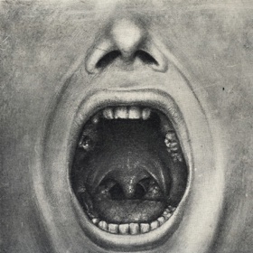 A zde již praktická ukázka jeho práce - postupné vytrhávání zubů.