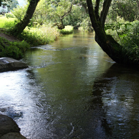 Vodní příšera číhá nejraději v odlehlých zátokách.