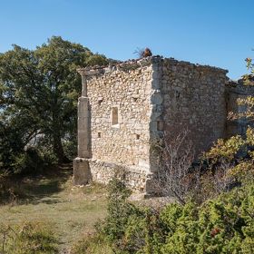 Nad vesnicí se také začala objevovat podivná světla.