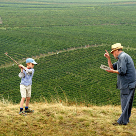 Bobule se staly pátým nejnavštěvovanějším filmem za rok 2008.