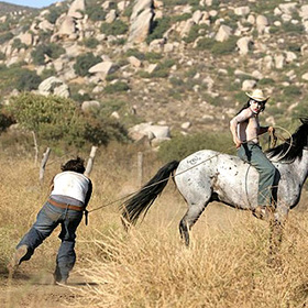 ...ale také nelítostného Randalla, sériového vraha, který vede krvelačný kult usazený na odlehlém ranči.