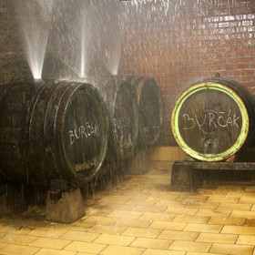 Natáčelo se také ve Vrbici, kde se nachází nejstarší a plně funkční sklípky.