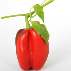 Paprika patří mezi nejoblíbenější zeleninu.