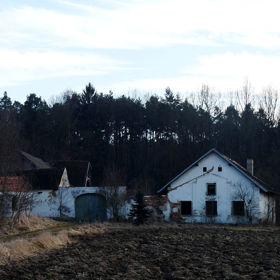 V lese se má zjevovat Bílá paní, prý jde o zavražděnou majitelku nedaleké samoty.