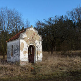 Po setmění se mají zase mezi stromy objevovat červené oči. První případ byl zaznamenán v roce 1998. Původně se mělo za to, že jde o zadní světla aut z nedaleké dálnice. Svědci však trvali na tom, že je děsivý pár očí pronásledoval.