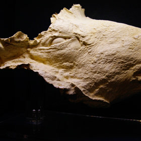 K vidění je zde také její posmrtná maska.