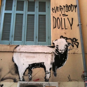 Ovce Dolly a hlavně skutečnost, že vznikla klonováním, vzbudily velké diskuze. Stala se dokonce námětem pro pouliční umělce.